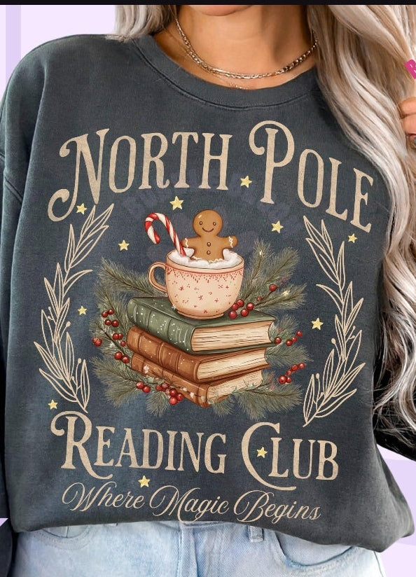 North pole reading