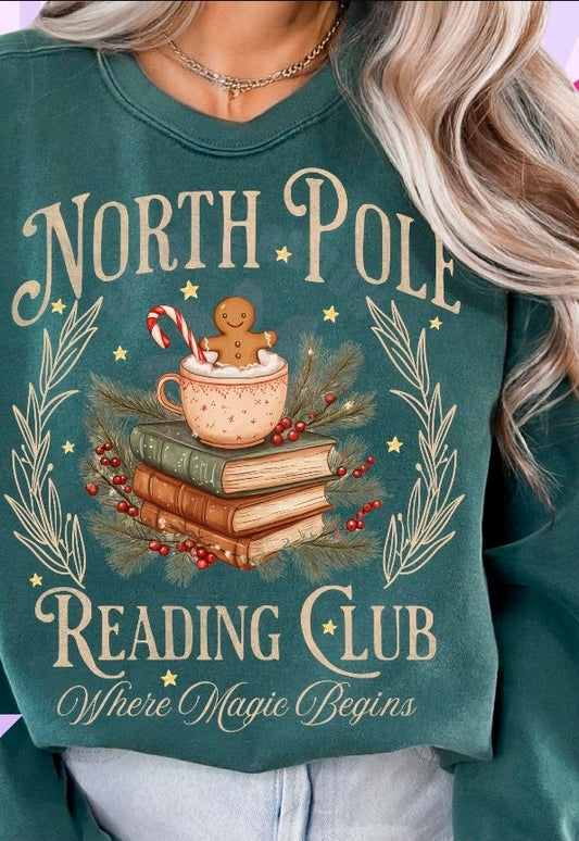 North pole reading